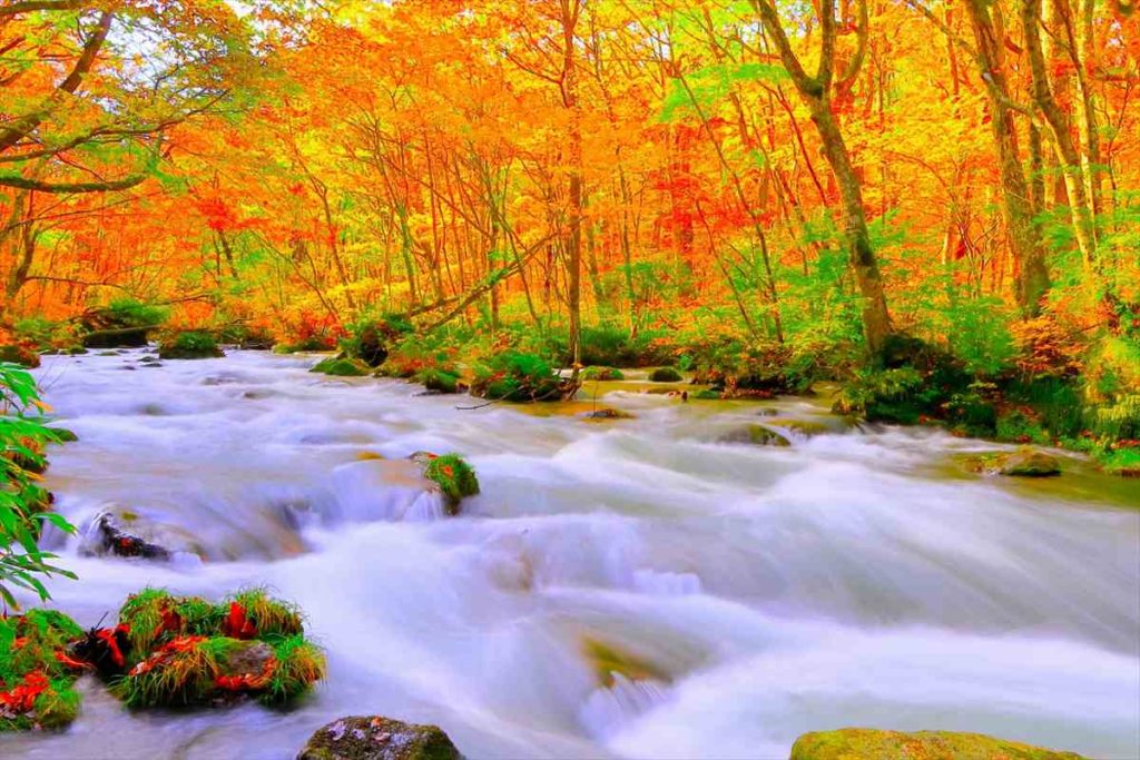奥入瀬渓流