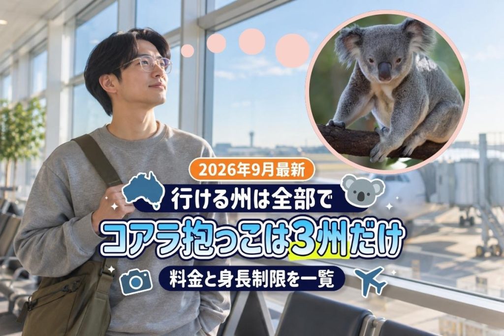 オーストラリア コアラ 抱っこ