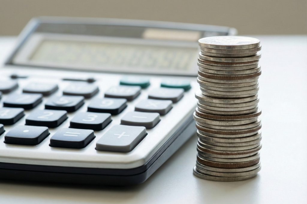 The Economics of Japanese Patent Translation