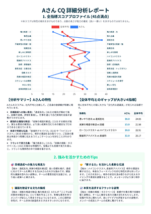 CQ診断レポート サンプル